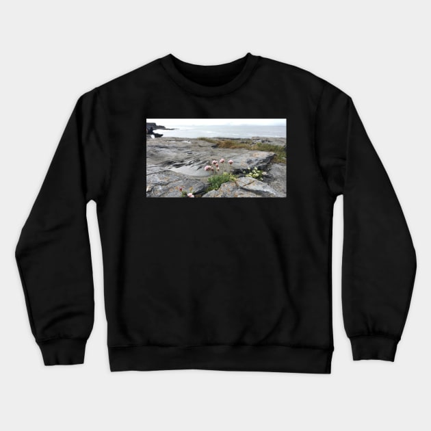 Resilience Crewneck Sweatshirt by ThatBird